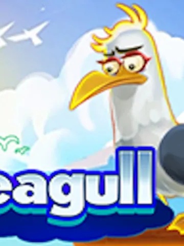 Seagull